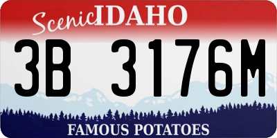ID license plate 3B3176M