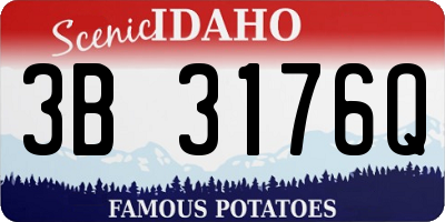 ID license plate 3B3176Q