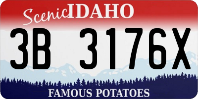 ID license plate 3B3176X