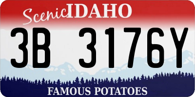 ID license plate 3B3176Y