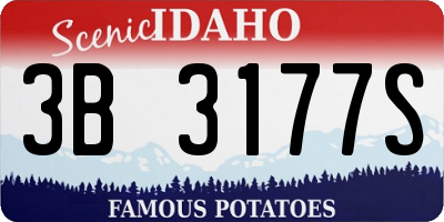 ID license plate 3B3177S