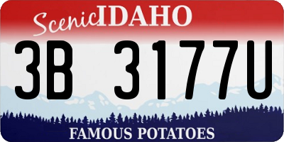ID license plate 3B3177U