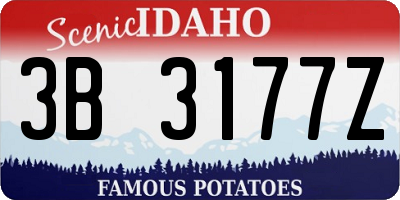ID license plate 3B3177Z