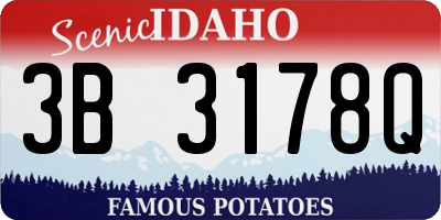 ID license plate 3B3178Q