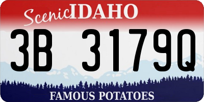 ID license plate 3B3179Q