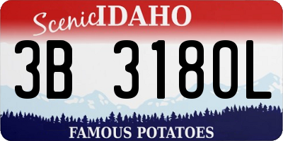 ID license plate 3B3180L