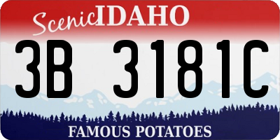 ID license plate 3B3181C