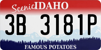 ID license plate 3B3181P