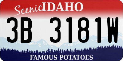 ID license plate 3B3181W