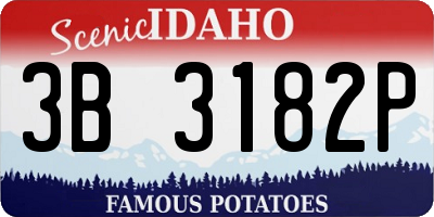 ID license plate 3B3182P
