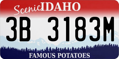 ID license plate 3B3183M