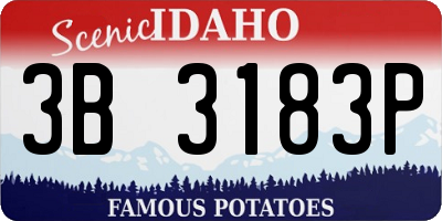 ID license plate 3B3183P