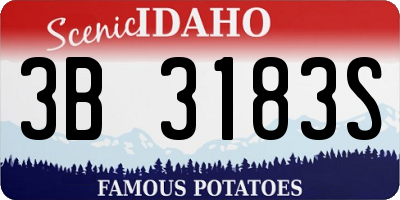 ID license plate 3B3183S