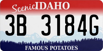 ID license plate 3B3184G