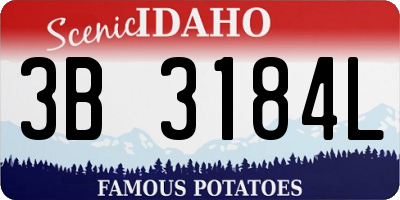 ID license plate 3B3184L