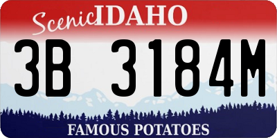ID license plate 3B3184M