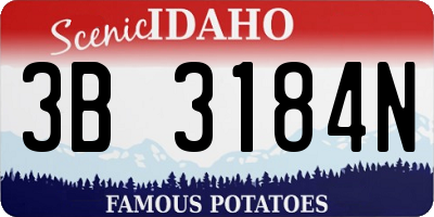 ID license plate 3B3184N