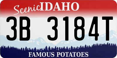 ID license plate 3B3184T