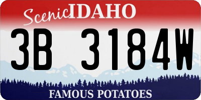 ID license plate 3B3184W