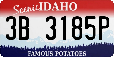 ID license plate 3B3185P