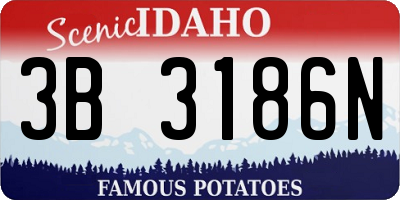 ID license plate 3B3186N