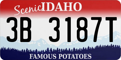 ID license plate 3B3187T