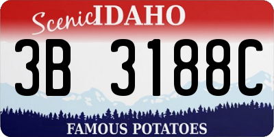 ID license plate 3B3188C