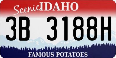 ID license plate 3B3188H