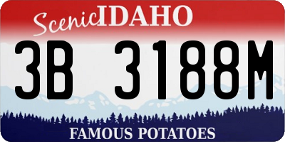 ID license plate 3B3188M