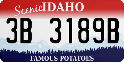 ID license plate 3B3189B