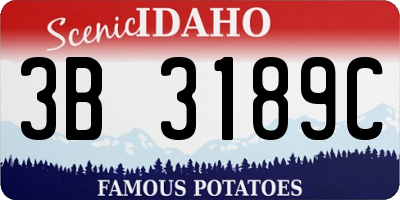 ID license plate 3B3189C