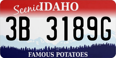 ID license plate 3B3189G