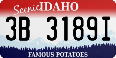 ID license plate 3B3189I