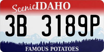 ID license plate 3B3189P