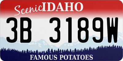 ID license plate 3B3189W