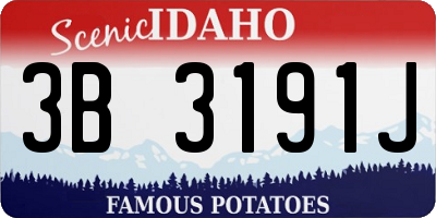 ID license plate 3B3191J