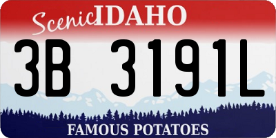 ID license plate 3B3191L