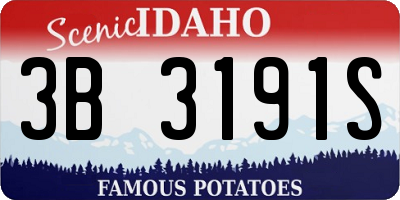 ID license plate 3B3191S
