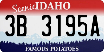 ID license plate 3B3195A