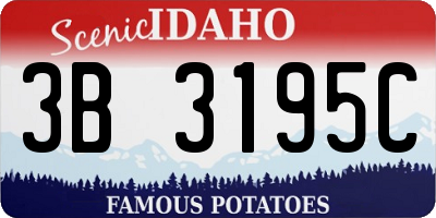 ID license plate 3B3195C