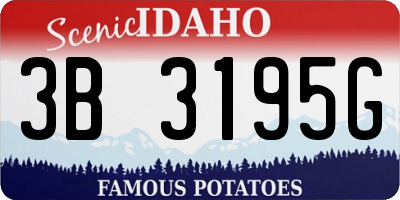 ID license plate 3B3195G