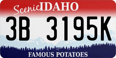 ID license plate 3B3195K