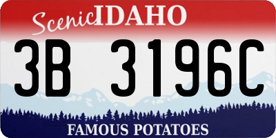 ID license plate 3B3196C