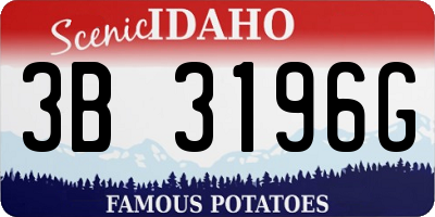 ID license plate 3B3196G
