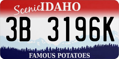 ID license plate 3B3196K