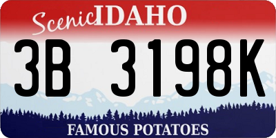 ID license plate 3B3198K