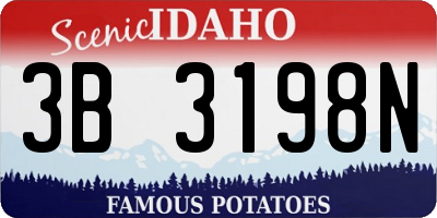 ID license plate 3B3198N