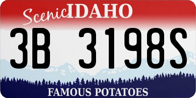ID license plate 3B3198S