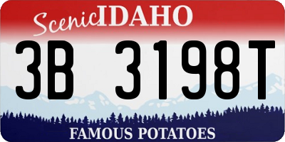 ID license plate 3B3198T