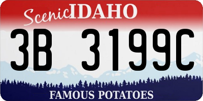 ID license plate 3B3199C